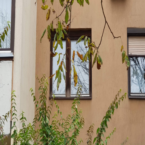 Jug-Bogdana-83-82-063