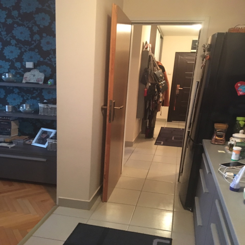 vojvode-sindjelica-42-09