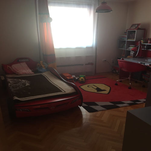 vojvode-sindjelica-42-15