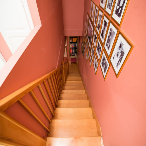 Fotografije-stana-ljiljaDSC_3458