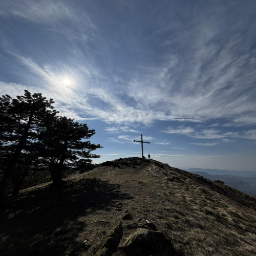 Ljiljana-Zecevic-slike-Ozrena-0001