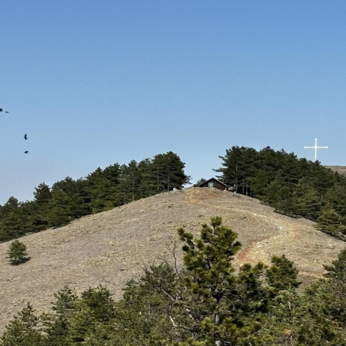 Ljiljana-Zecevic-slike-Ozrena-00013