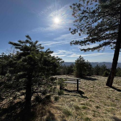 Ljiljana-Zecevic-slike-Ozrena-00018