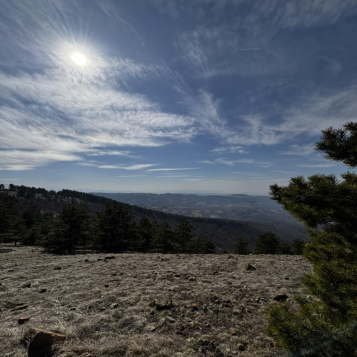 Ljiljana-Zecevic-slike-Ozrena-00019