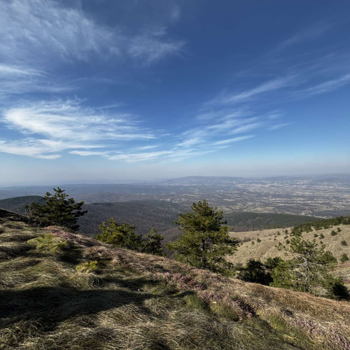 Ljiljana-Zecevic-slike-Ozrena-00020