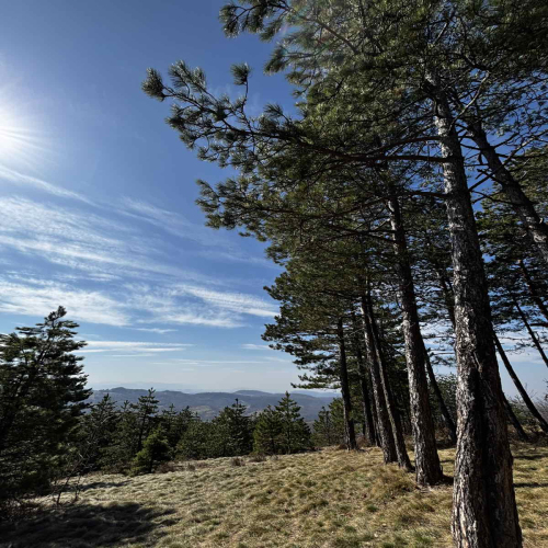 Ljiljana-Zecevic-slike-Ozrena-00021