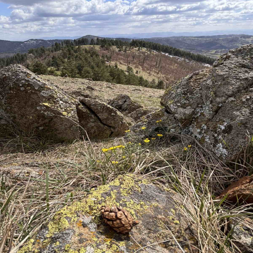 Ljiljana-Zecevic-slike-Ozrena-00022