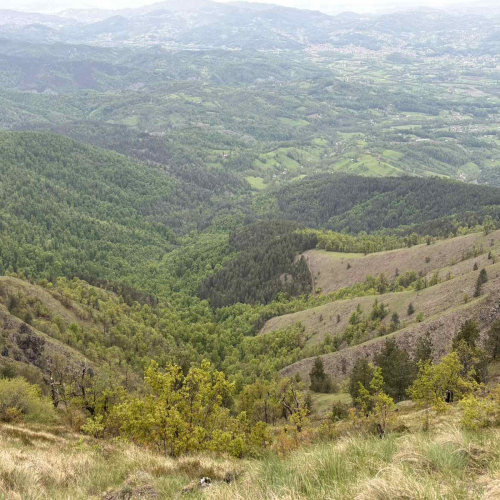 Ljiljana-Zecevic-slike-Ozrena-00027