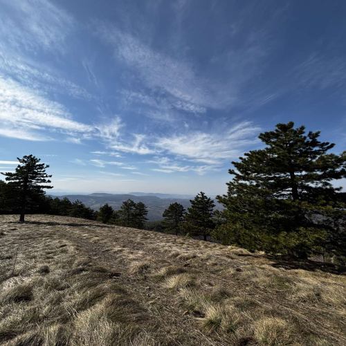 Ljiljana-Zecevic-slike-Ozrena-0003