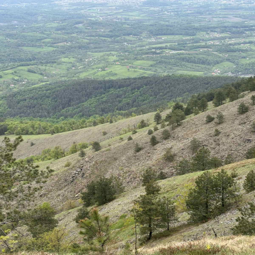 Ljiljana-Zecevic-slike-Ozrena-00034