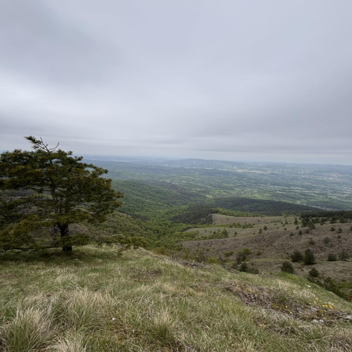 Ljiljana-Zecevic-slike-Ozrena-00036