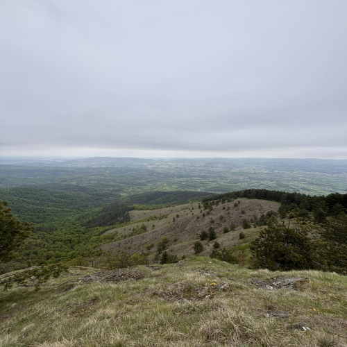Ljiljana-Zecevic-slike-Ozrena-00038