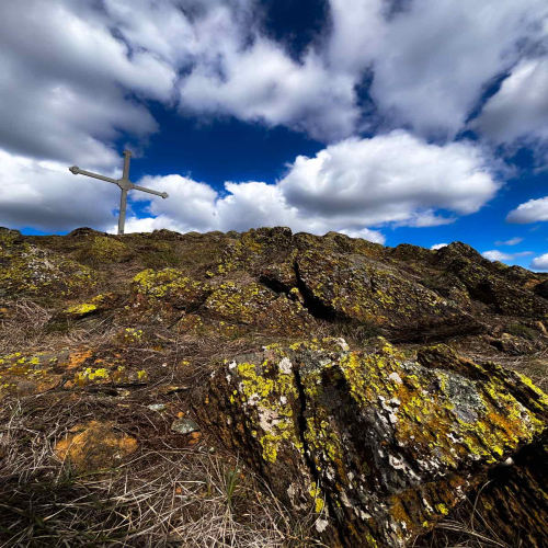 Ljiljana-Zecevic-slike-Ozrena-00044