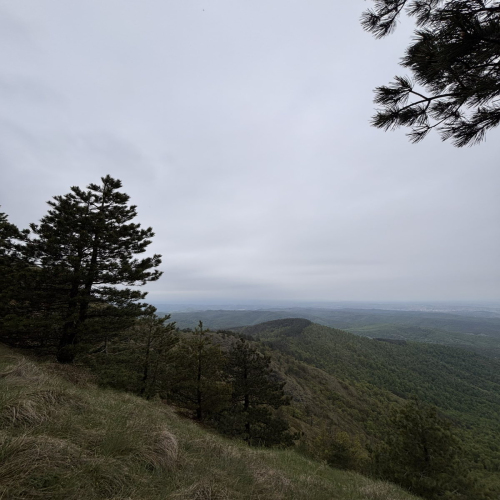 Ljiljana-Zecevic-slike-Ozrena-00050