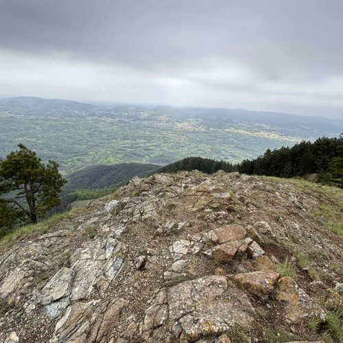 Ljiljana-Zecevic-slike-Ozrena-0008