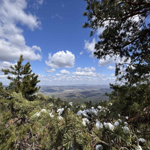 Ljiljana-Zecevic-slike-Ozrena-0009