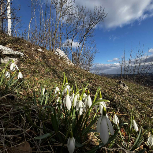 Ljiljana-Zecevic-slike-Ozrena-01