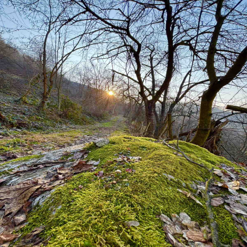 Ljiljana-Zecevic-slike-Ozrena-02