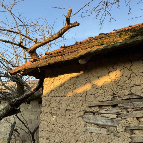 Ljiljana-Zecevic-slike-Ozrena-03