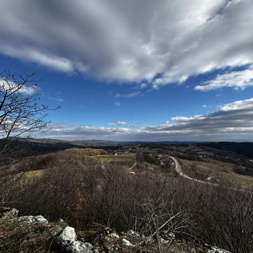 Ljiljana-Zecevic-slike-Ozrena-04