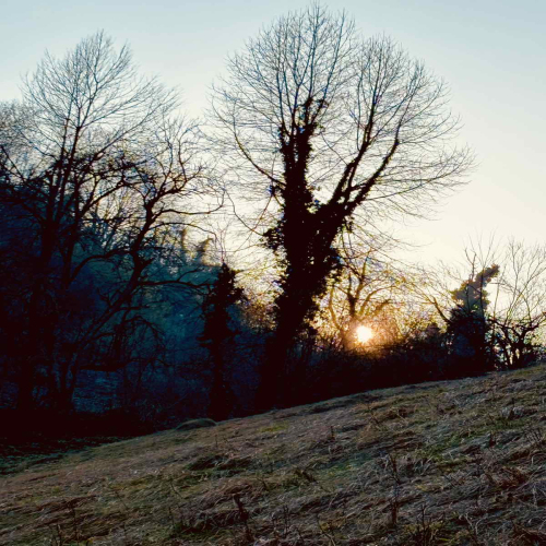 Ljiljana-Zecevic-slike-Ozrena-05