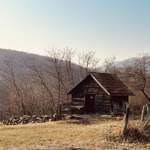 Ljiljana-Zecevic-slike-Ozrena-07