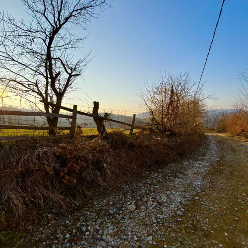 Ljiljana-Zecevic-slike-Ozrena-10