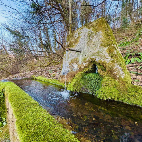 Ljiljana-Zecevic-slike-Ozrena-15