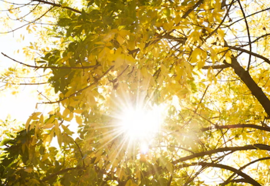 VRIJEME: Pretežno sunčano i vrlo toplo