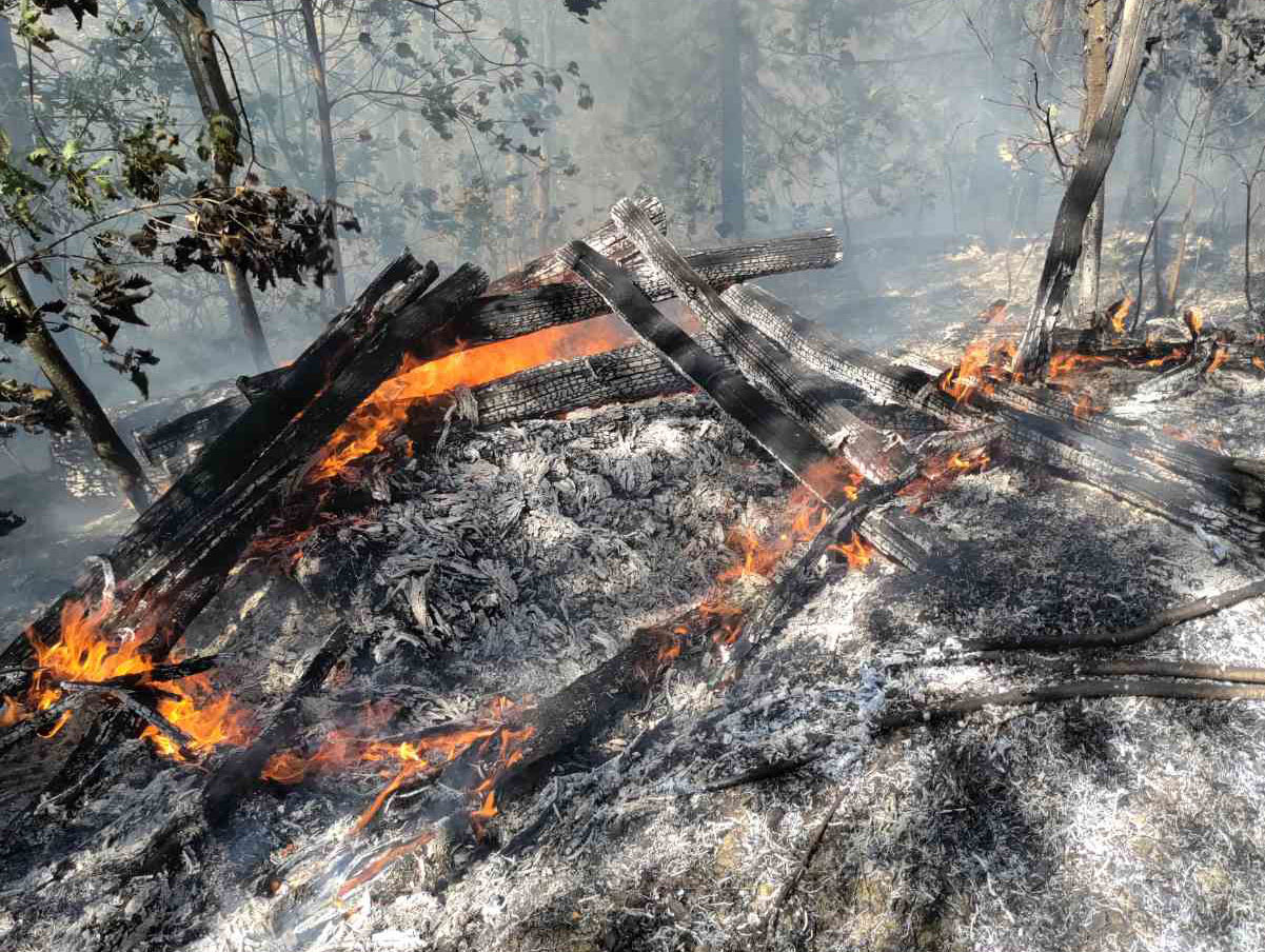  (FOTO) Požar prijeti širenjem prema Doboju – angažovane sve snage civilne zaštite