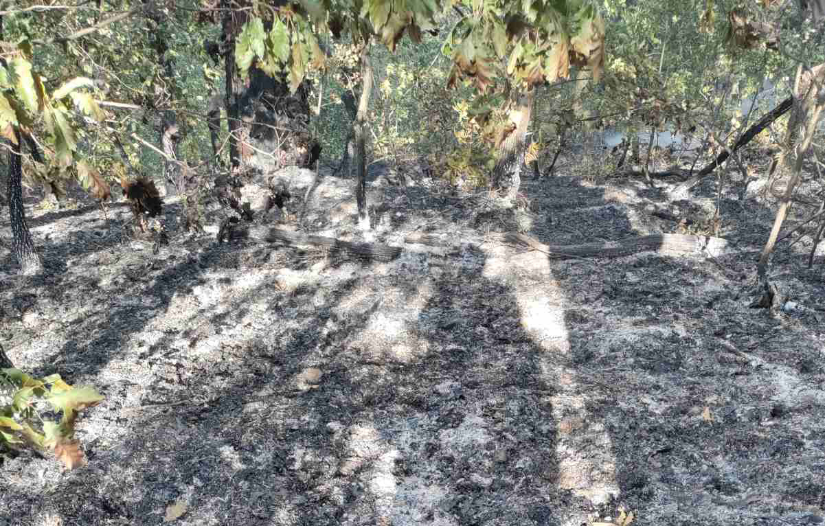 Pod kontrolom požar na granici Doboja i Maglaja, vatrogasci spriječili širenje vatre