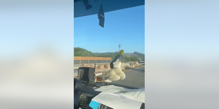 Prevrnuo se kamion na auto-putu "9. januar", saobraćaj jednom trakom