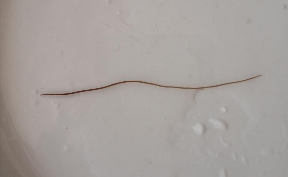 (VIDEO) Da li uz poskupljenje vode u Doboju dobijamo i “priloge” iz slavine?