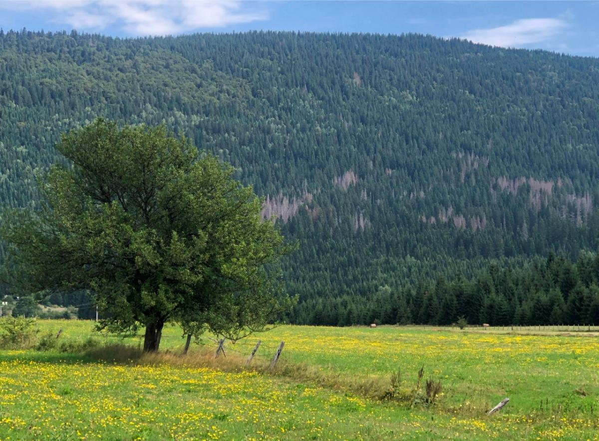 VRIJEME: Pretežno sunčano i prijatno toplo
