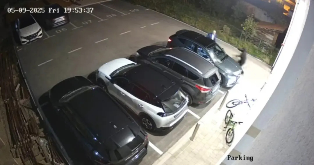 "Video koji govori više od riječi" Borenović objavio snimak napada na njega