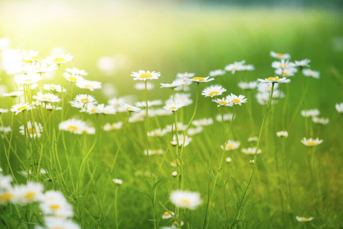 VRIJEME: Sunčano i toplo, promjena stiže sutra