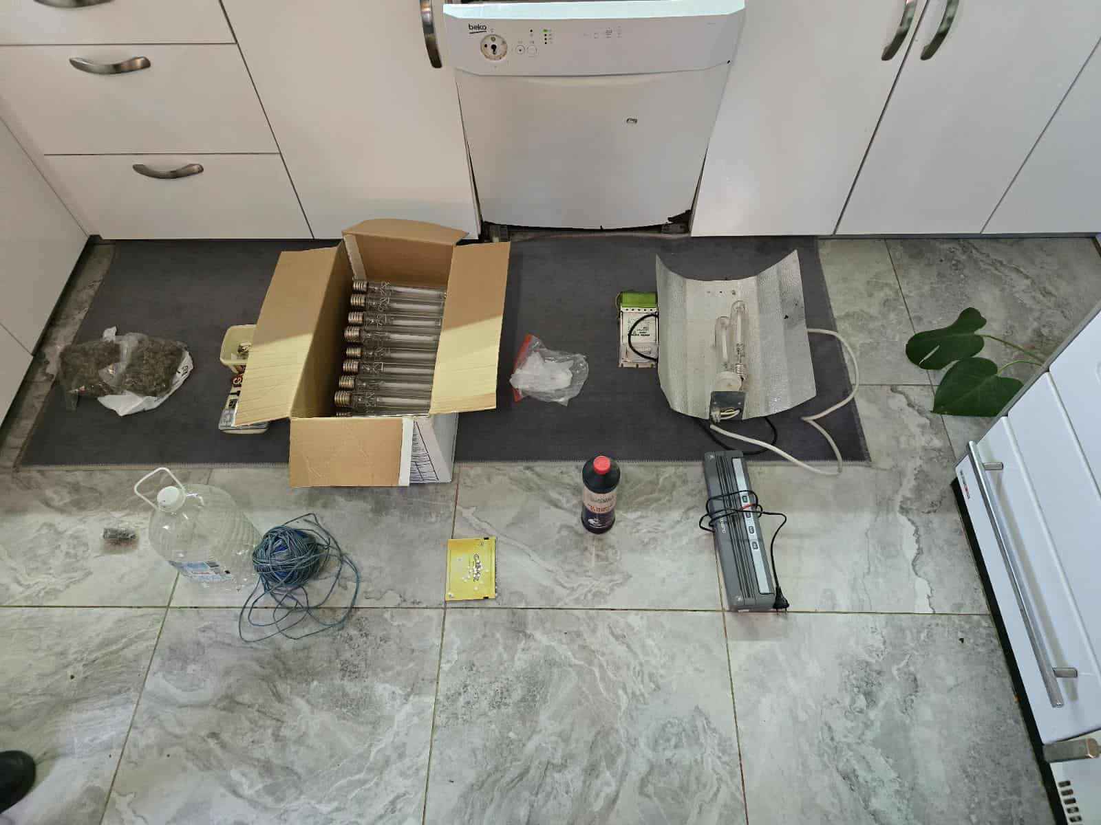 narkotici plantaza 03