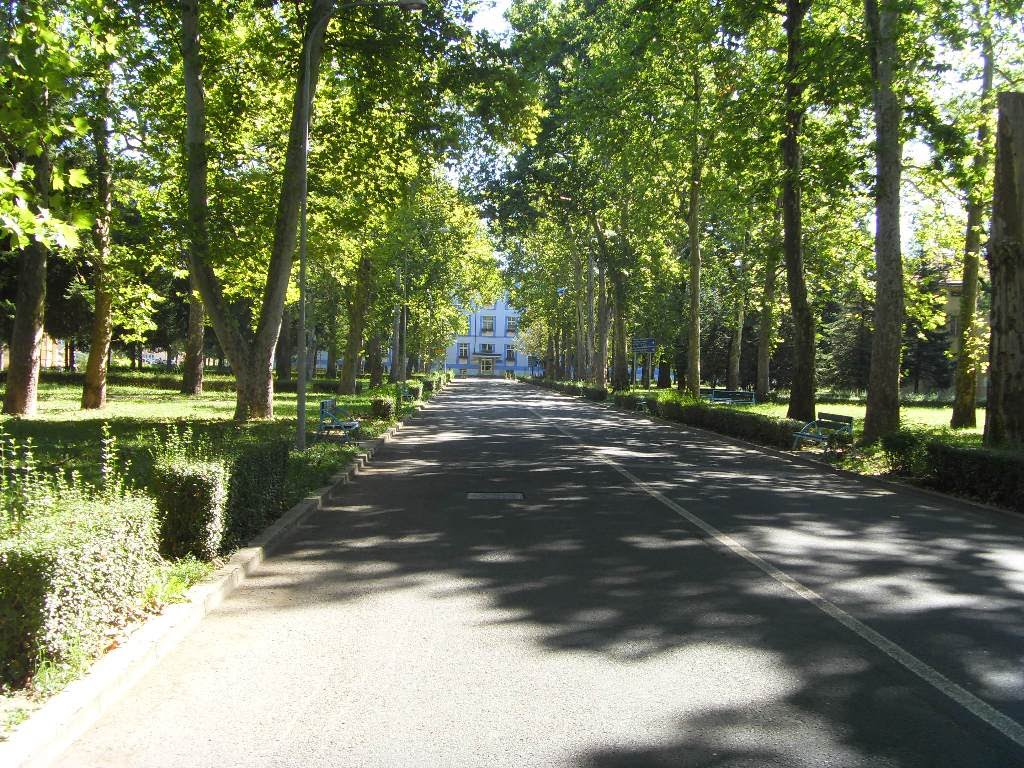 Skup solidarnosti za žrtve pada nadstrešnice u Novom Sadu: Studenti pozivaju na komemoraciju u Banjaluci