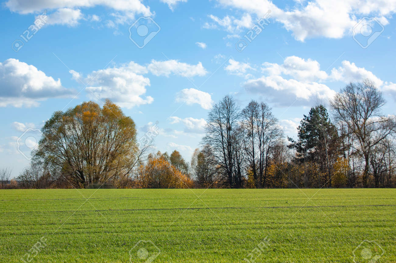 VRIJEME: Jutarnja magla smanjuje vidljivost, tokom dana sunčano i toplije