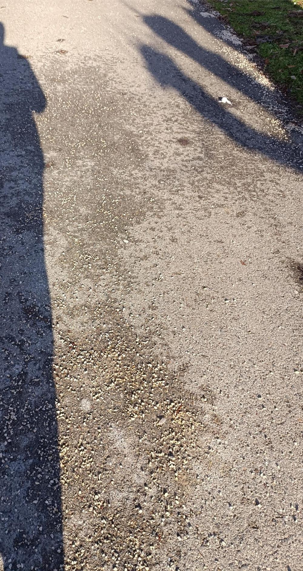 SERVISNA PRICA IZ DOBOJA zimsko odravanje 02