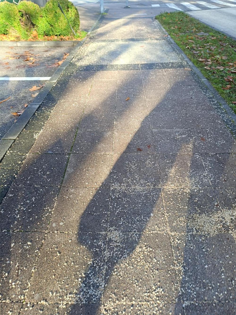 SERVISNA PRICA IZ DOBOJA zimsko odravanje 03