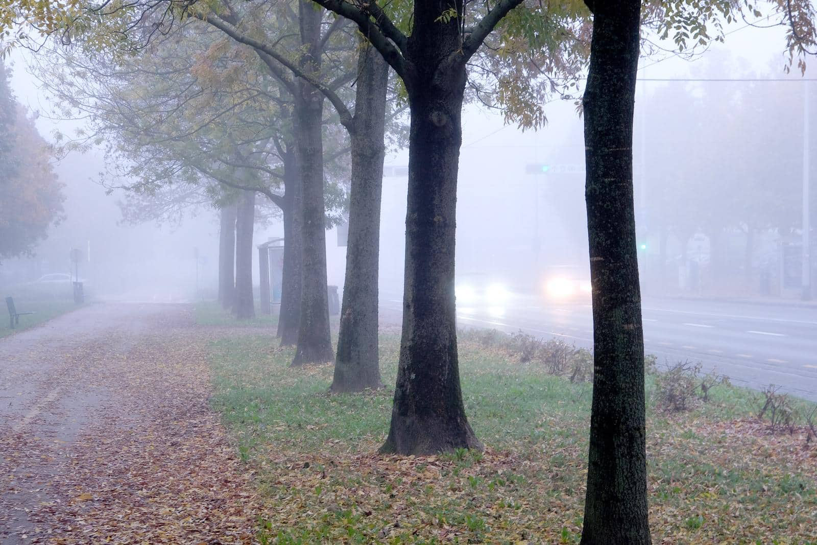 VRIJEME: Magla i niska oblačnost obilježiće dan, hladnije u večernjim satima