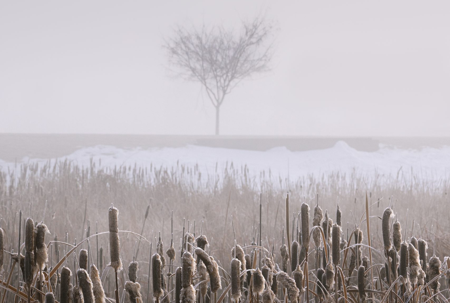 VRIJEME: Maglovito jutro, tokom dana suvo i stabilno vrijeme