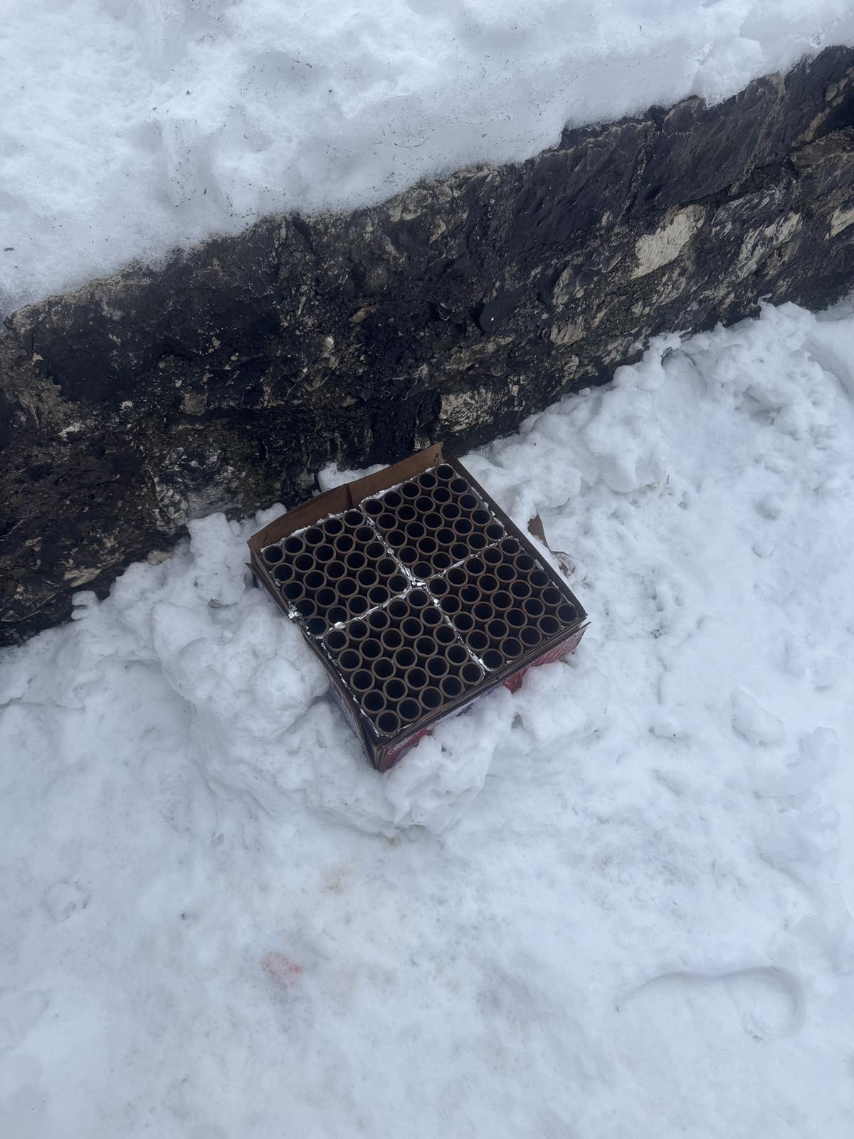 paljenje zasteve bih 01