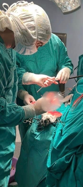 DOBOJ U bolnici Sveti apostol Luka prvi put uspjesno operisan tumor na mozgu 01