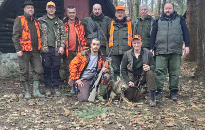 DOBOJ: Odstrijeljen vuk u naselju Lipac