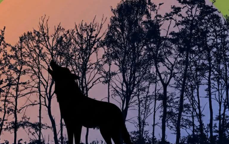 VUČIJI DANI NA OZRENU 2026: Četvrt vijeka tradicionalne vučijade