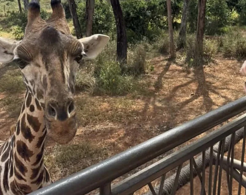 I BI NEDELJA: Niskost na visini