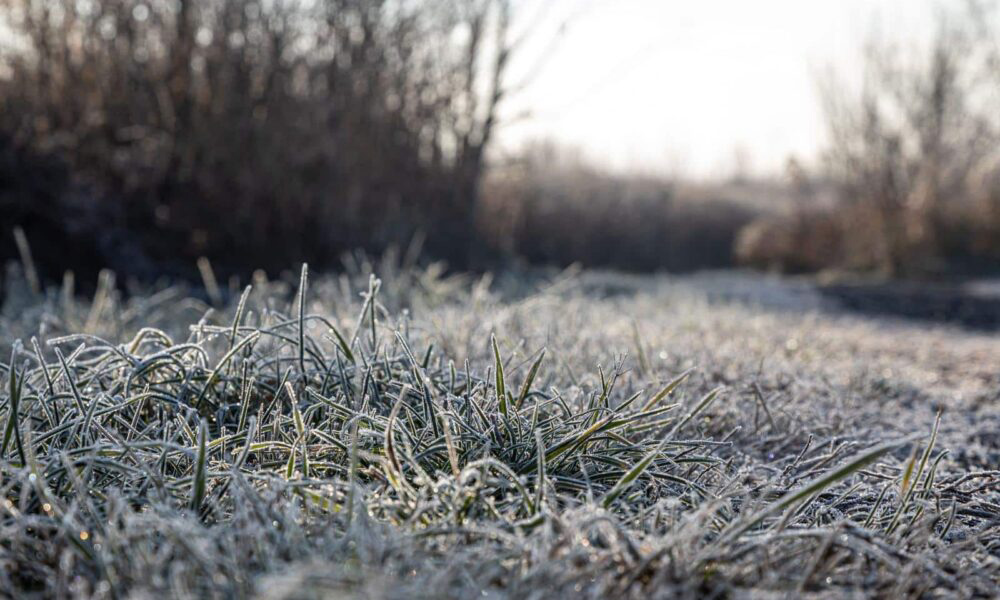 VRIJEME: Prohladno uz povremenu kišu, tokom noći osjetno hladnije