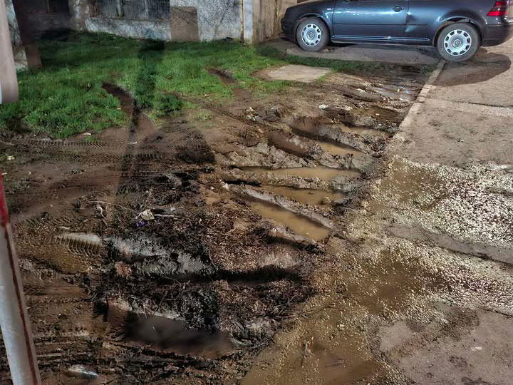 PITAJ I KRITIKUJ: Ko štiti zelene površine od nepropisnog parkiranja?